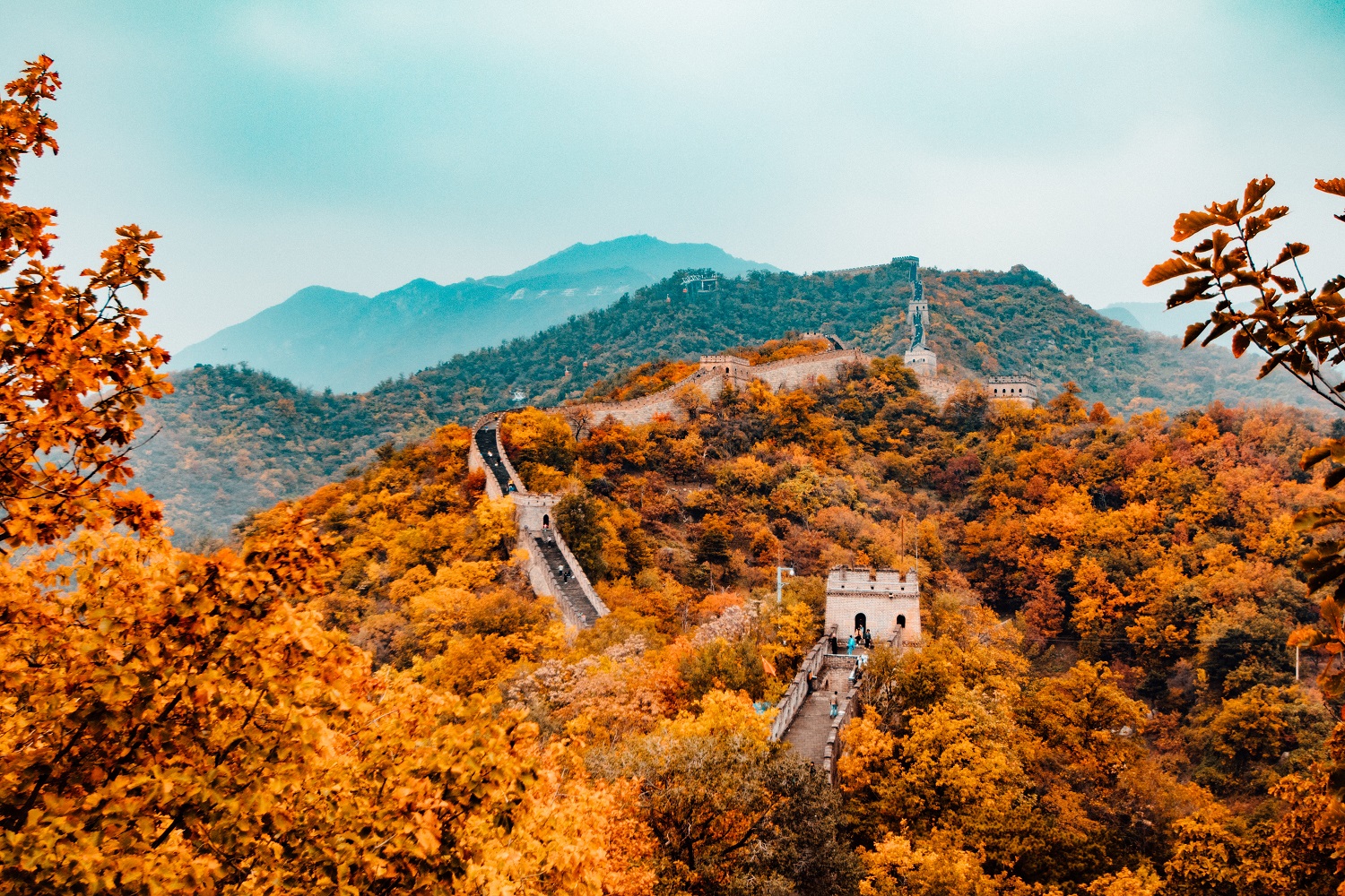 China Milenar