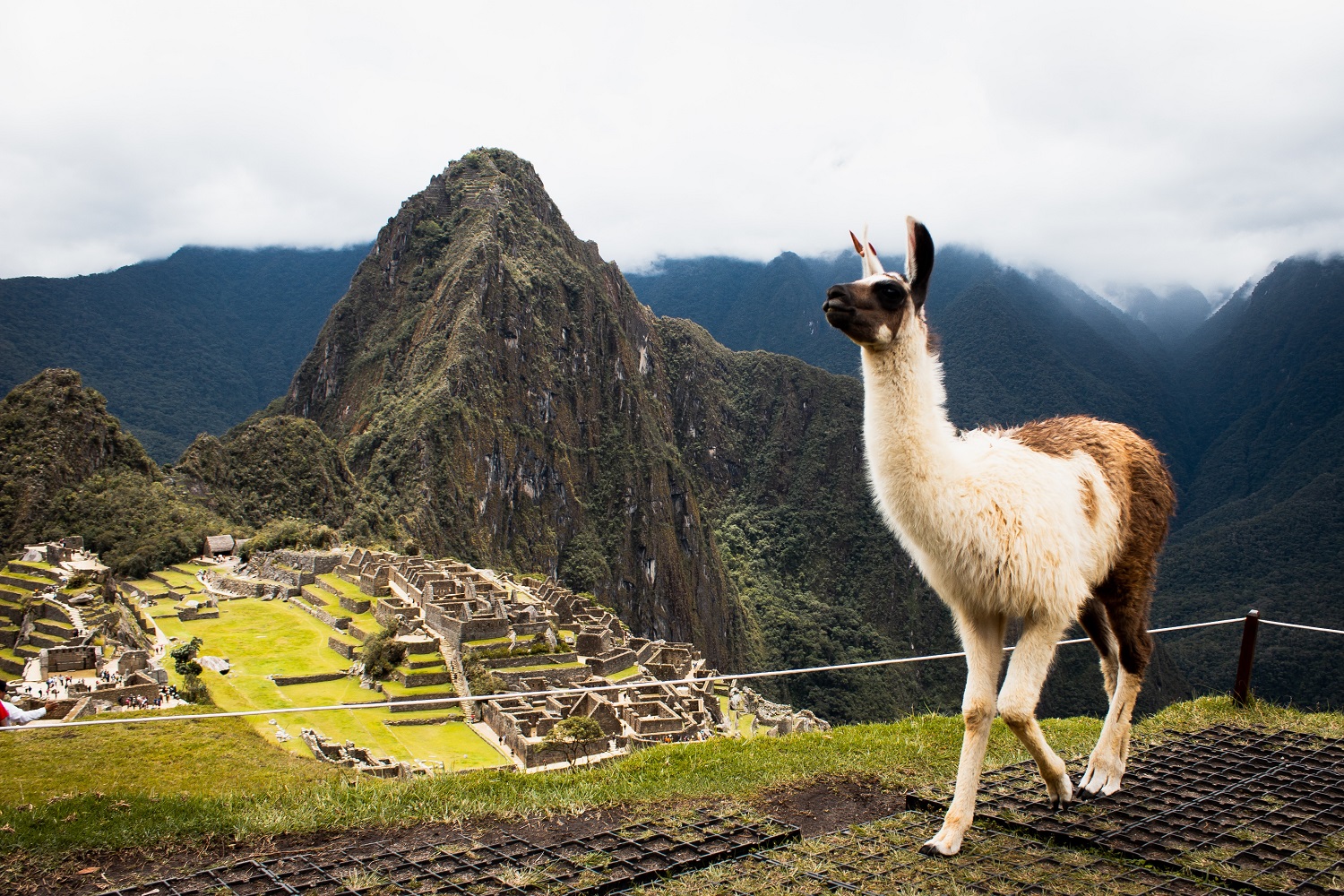 Peru Econômico