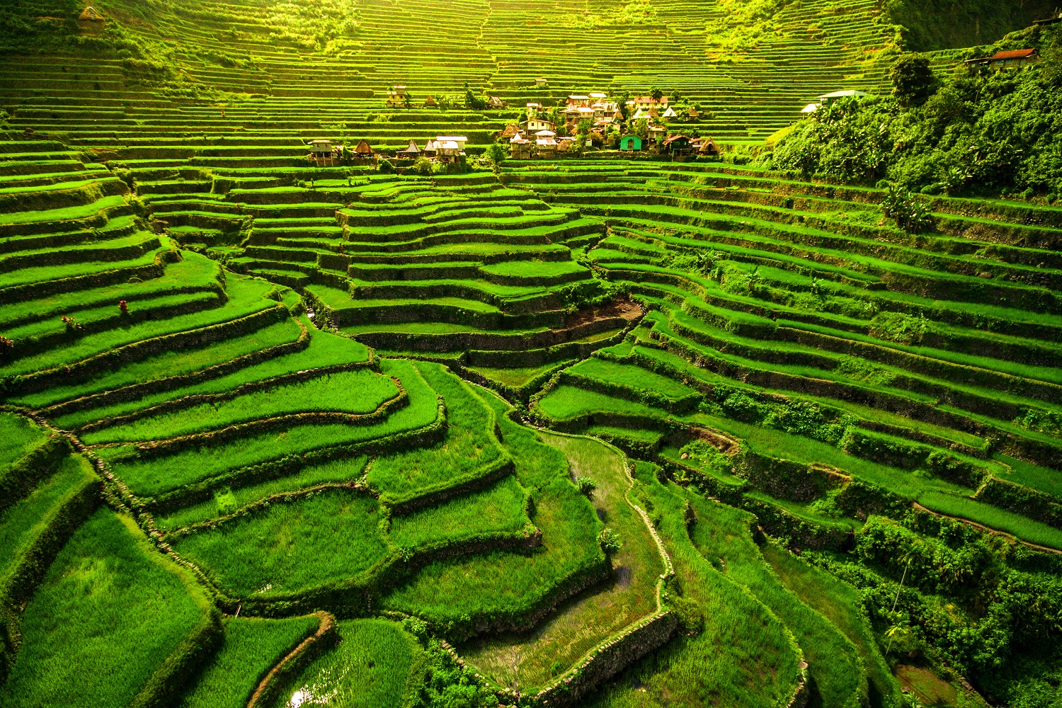 Essências das Filipinas