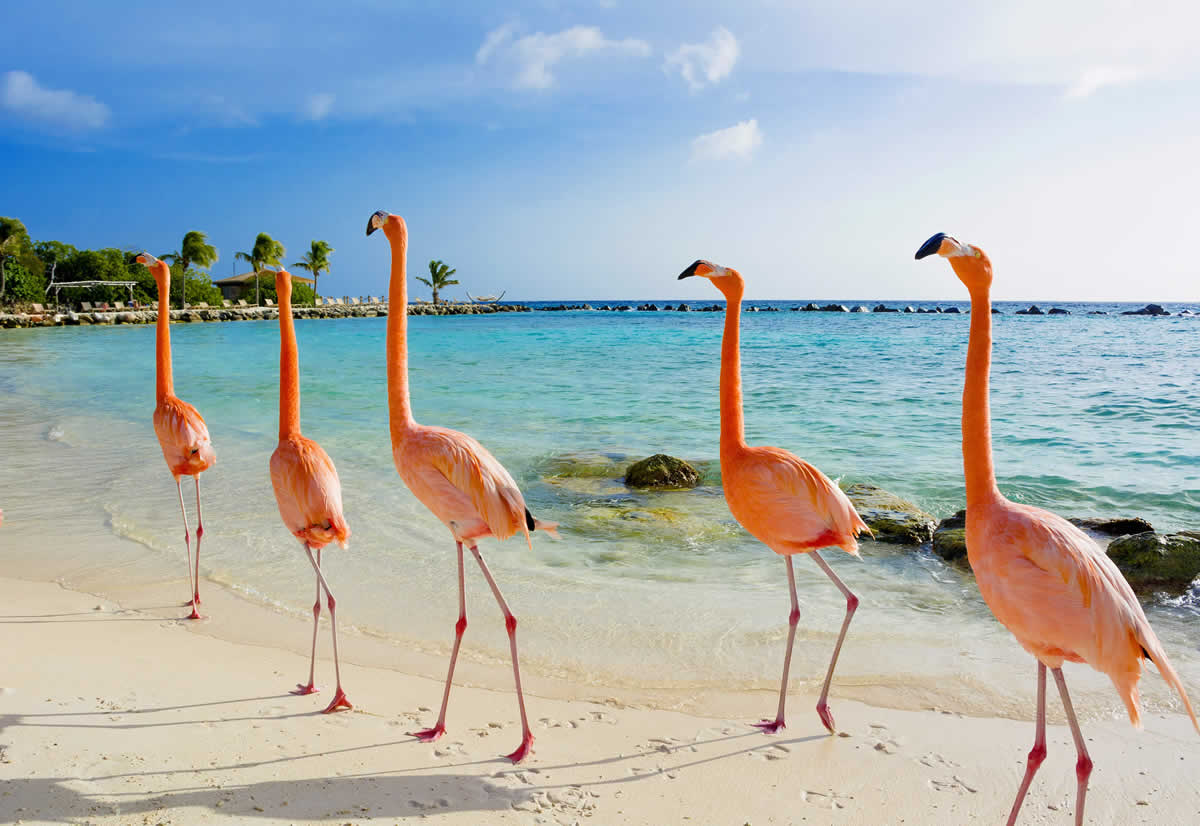 Aruba & Curaçao