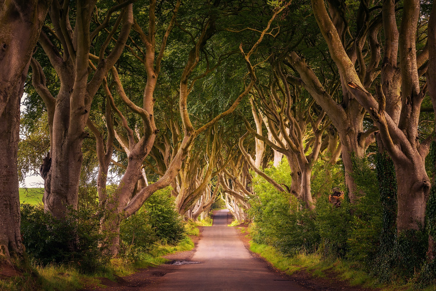 Irlanda